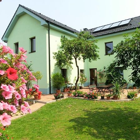 Vila Evicka Sobotka Extérieur photo